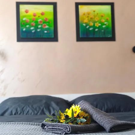 Olivin - Private With Bathroom Guest house